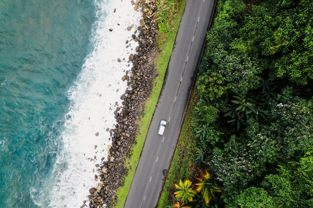 Aerial shot of a scenic coastal road in Spring Garden, Jamaica, next to lush greenery and blue ocean.